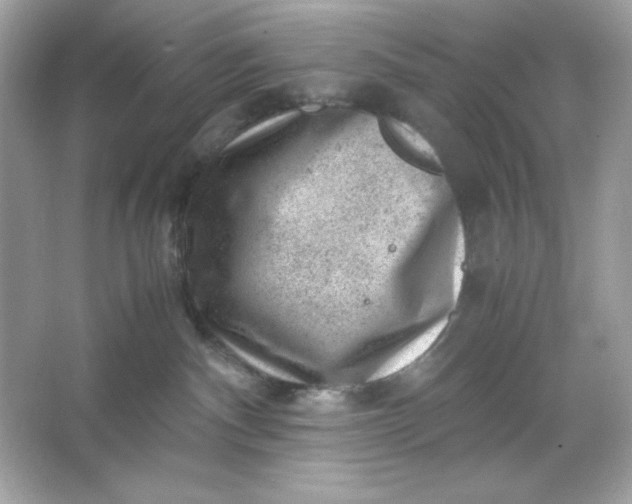 X0000066020140200603171541