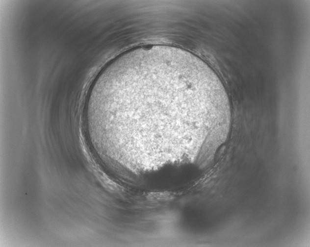 X0000066020145200603171540