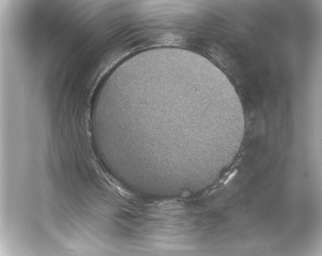 X0000066020146200603171541