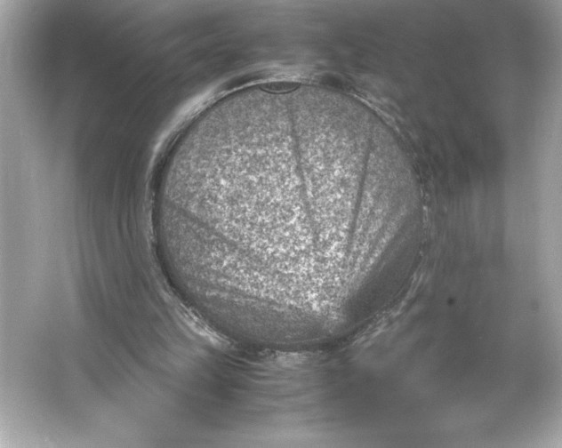 X0000066020149200603171541