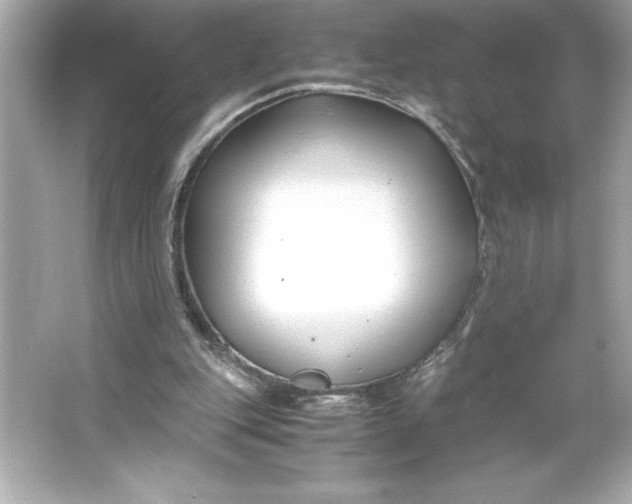 X0000066020151200603171541