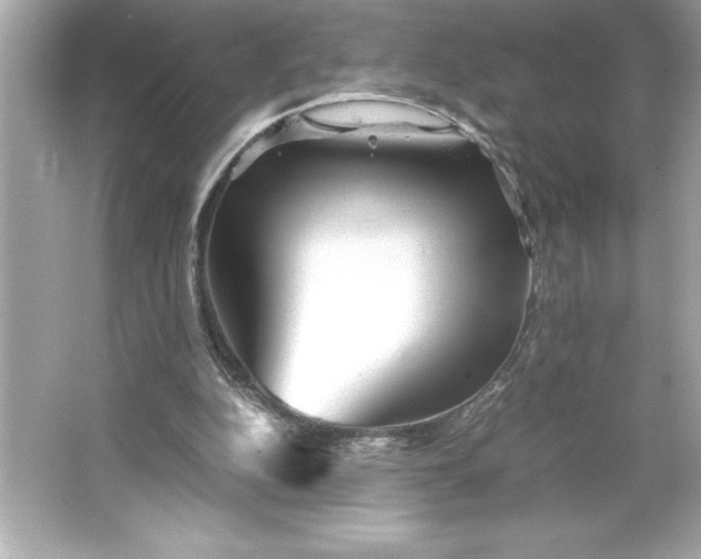 X0000066020152200603171541