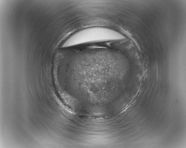 X0000066020154200603171541