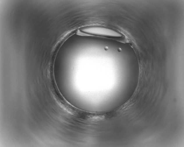 X0000066020155200603171541