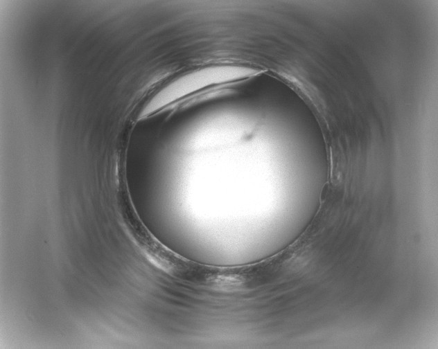 X0000066020157200603171541