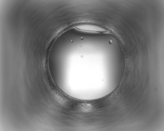 X0000066020159200603171541