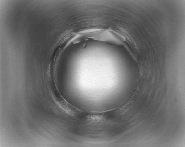 X0000066020163200603171541