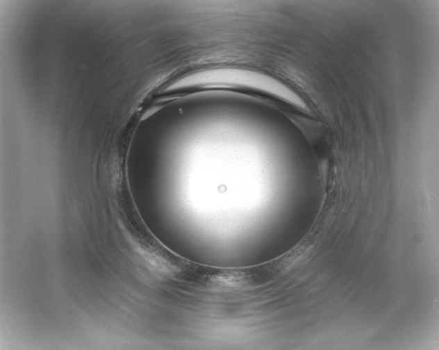 X0000066020164200603171541