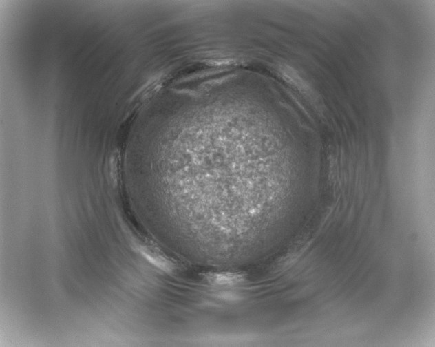 X0000066020165200603171541