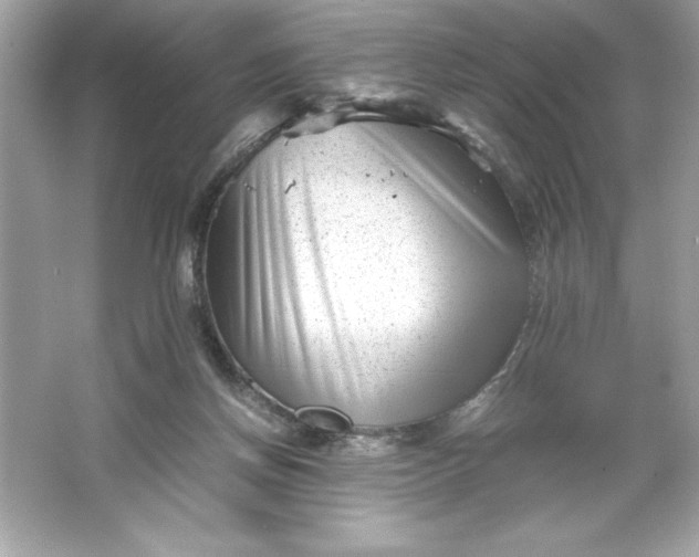 X0000066020166200603171541