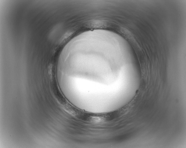 X0000066020167200603171541