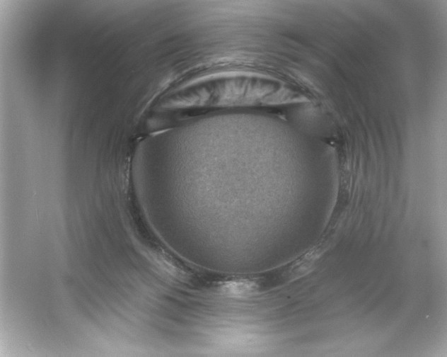 X0000066020168200603171541