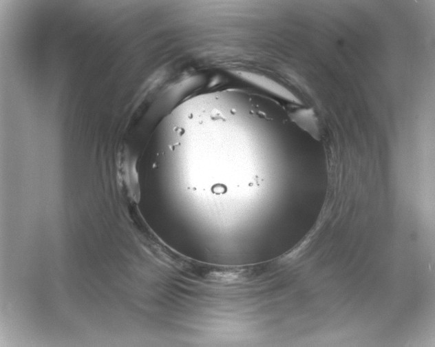 X0000066020170200603171541