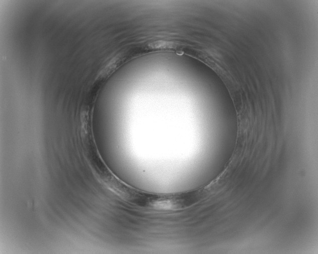 X0000066020171200603171541