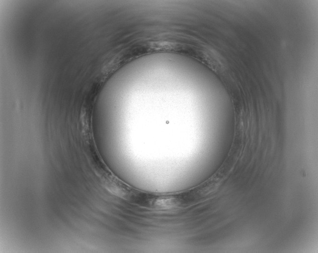 X0000066020173200603171541