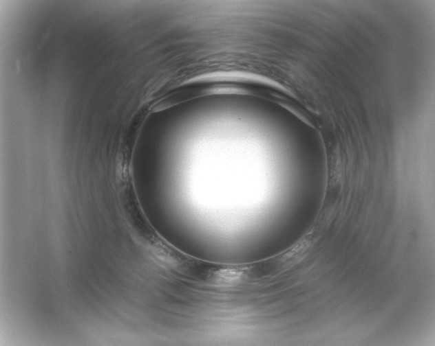 X0000066020176200603171541