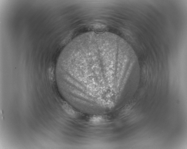 X0000066020177200603171541