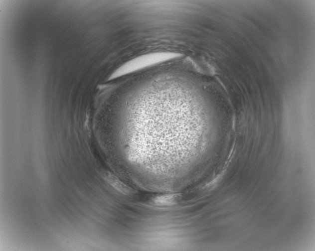 X0000066020178200603171541