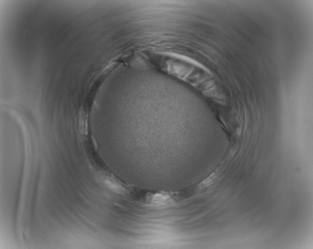 X0000066020180200603171541