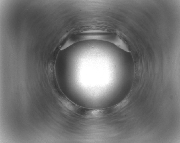 X0000066020184200603171541