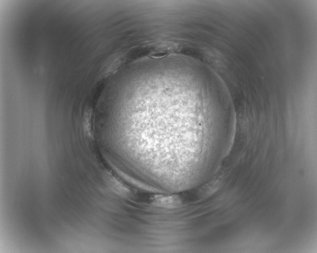 X0000066020185200603171541