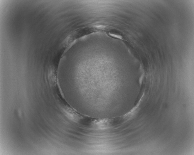 X0000066020186200603171541