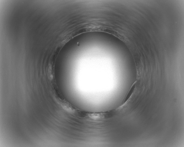 X0000066020187200603171541