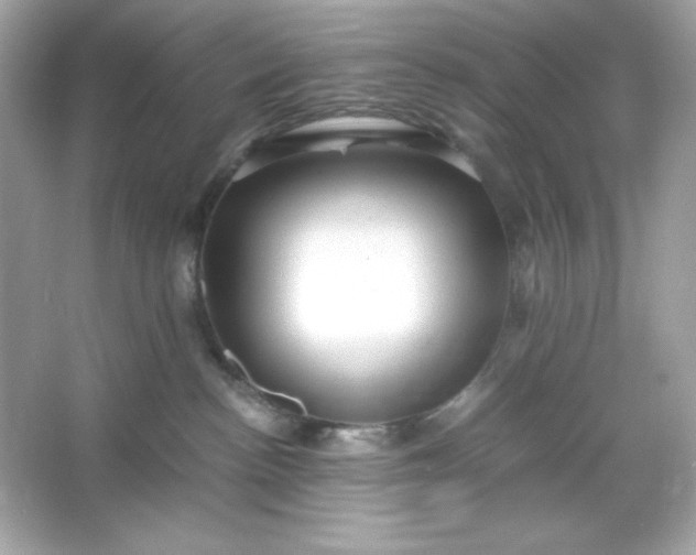 X0000066020188200603171541