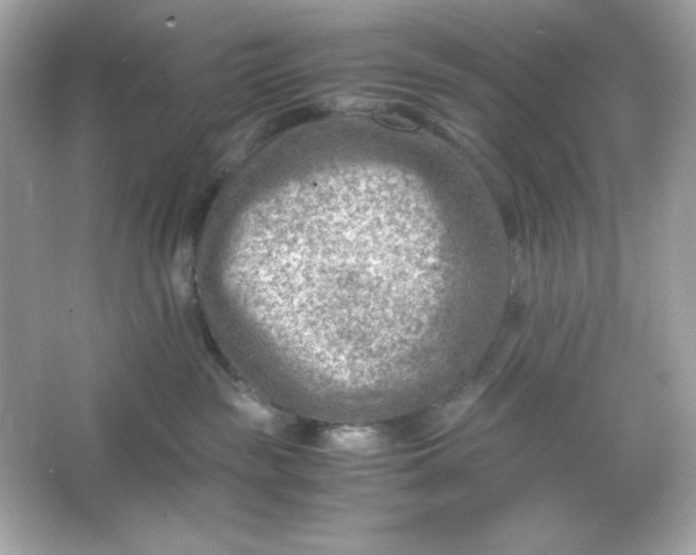 X0000066020189200603171541