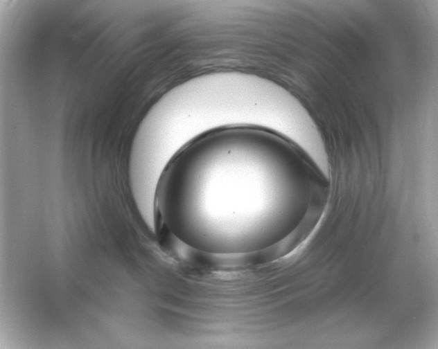 X0000066020190200603171541