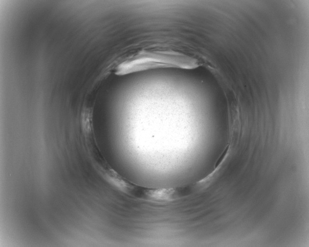 X0000066020191200603171541