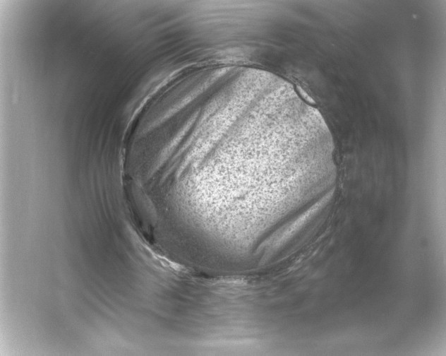 X0000066020194200603171540