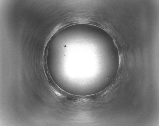 X0000066020195200603171540