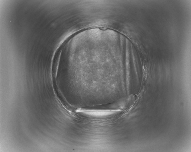 X0000066020196200603171540