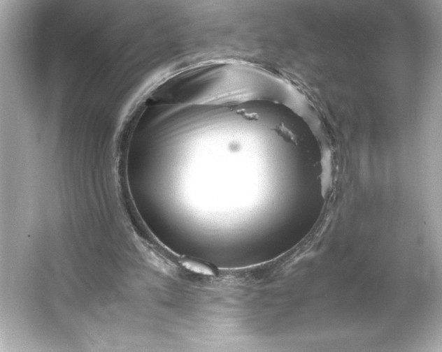 X0000066020197200603171540