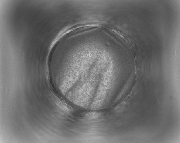 X0000066020198200603171540