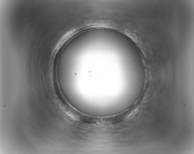 X0000066020199200603171540