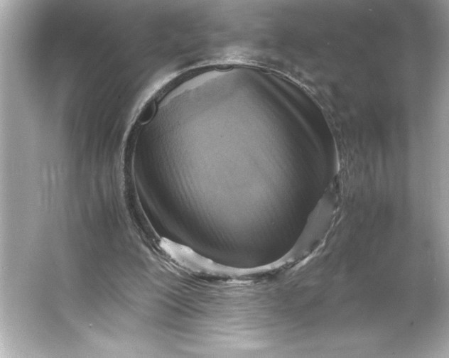 X0000066020200200603171540