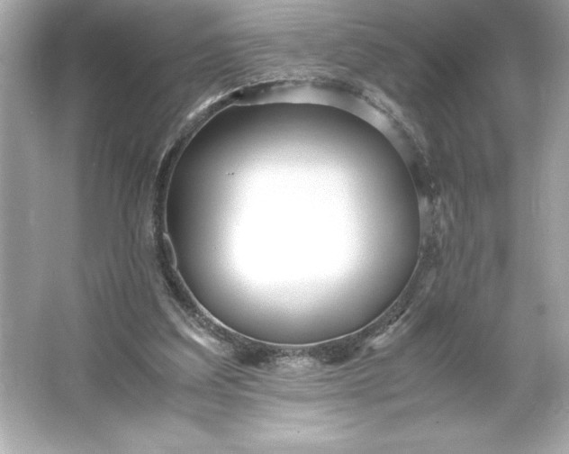 X0000066020203200603171540