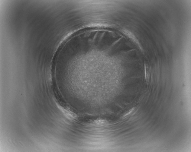 X0000066020204200603171540