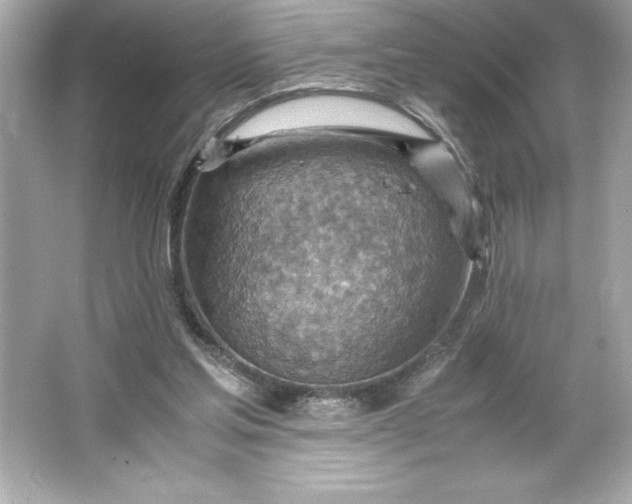 X0000066020205200603171540