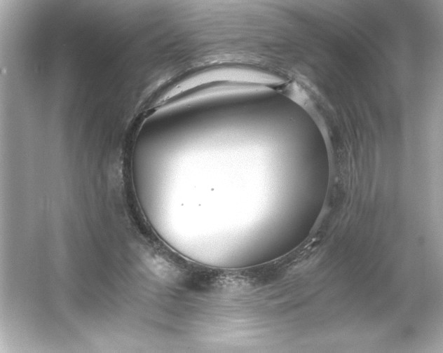 X0000066020207200603171540