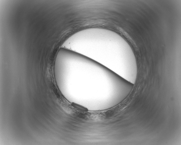 X0000066020209200603171540