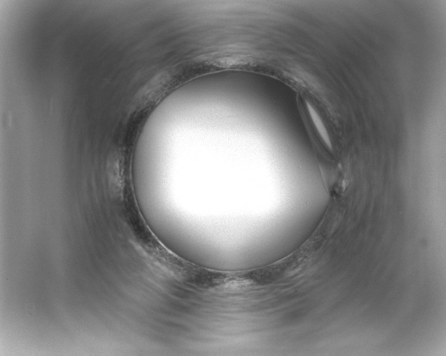 X0000066020210200603171540