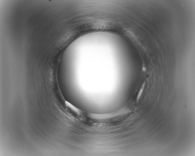 X0000066020211200603171540