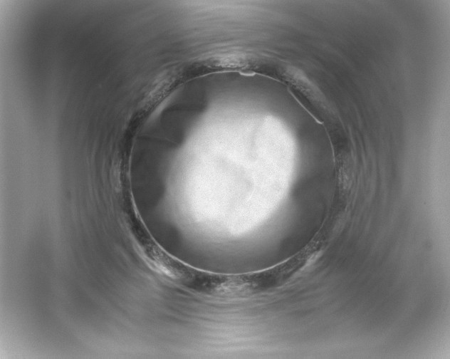 X0000066020213200603171540