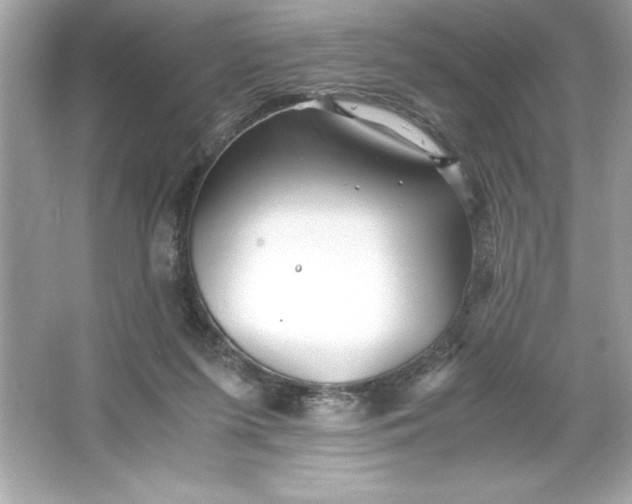 X0000066020215200603171540