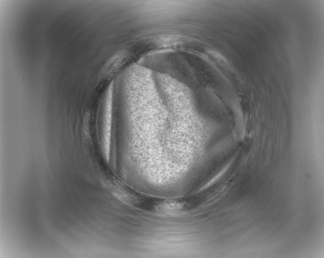 X0000066020217200603171540