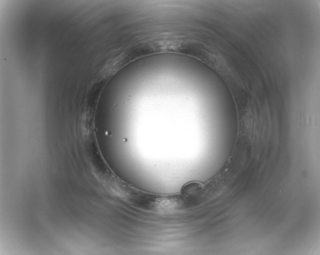 X0000066020218200603171540