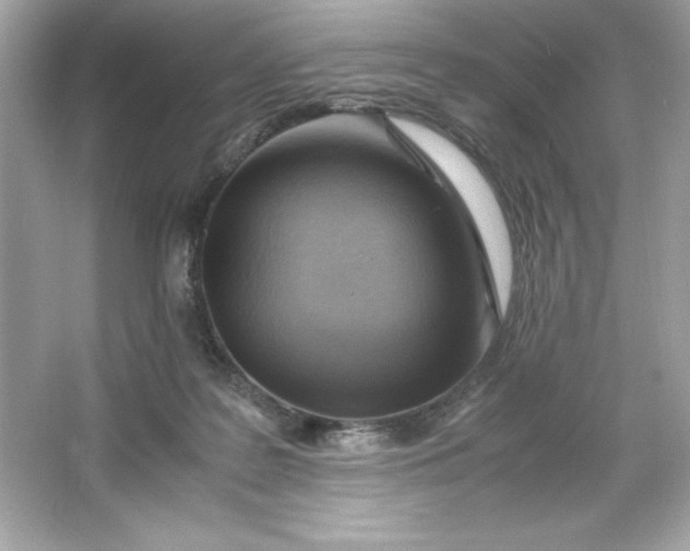 X0000066020219200603171540